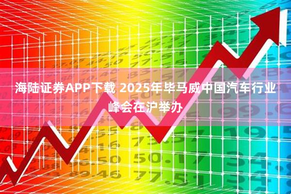 海陆证券APP下载 2025年毕马威中国汽车行业峰会在沪举办